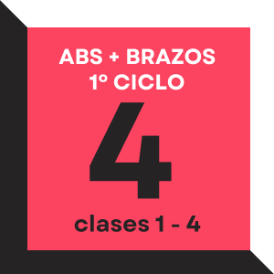Abdomen + brazos. Ciclo 1