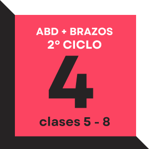 Abdomen + brazos. Ciclo 2