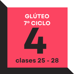 Glúteo ciclo 7