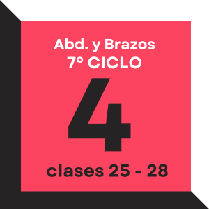 Abdomen + brazos. Ciclo 7