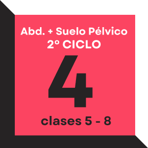 Abs. + Suelo Pélvico - Ciclo 2