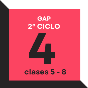 GAP- Ciclo 2