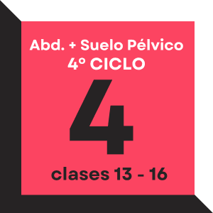 Abdomen y suelo pélvico – Ciclo 4